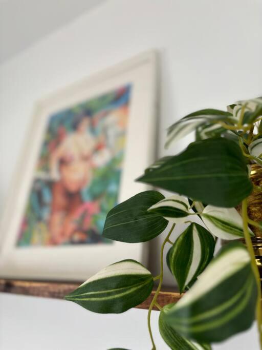 La Casa De Eloisa Apartment ซานตาครูซ เด เตเนริเฟ ภายนอก รูปภาพ